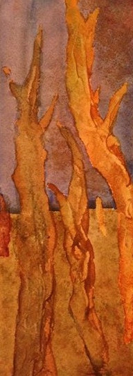 1463190_10152012467825155_1610755937_n