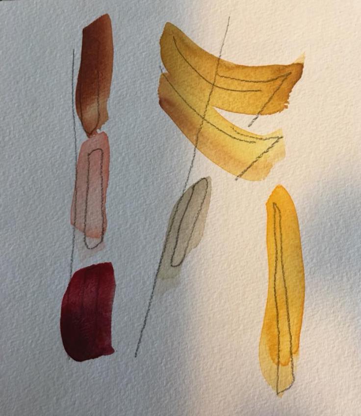 34324892_10156210357125155_8466185705050079232_n (1).jpg